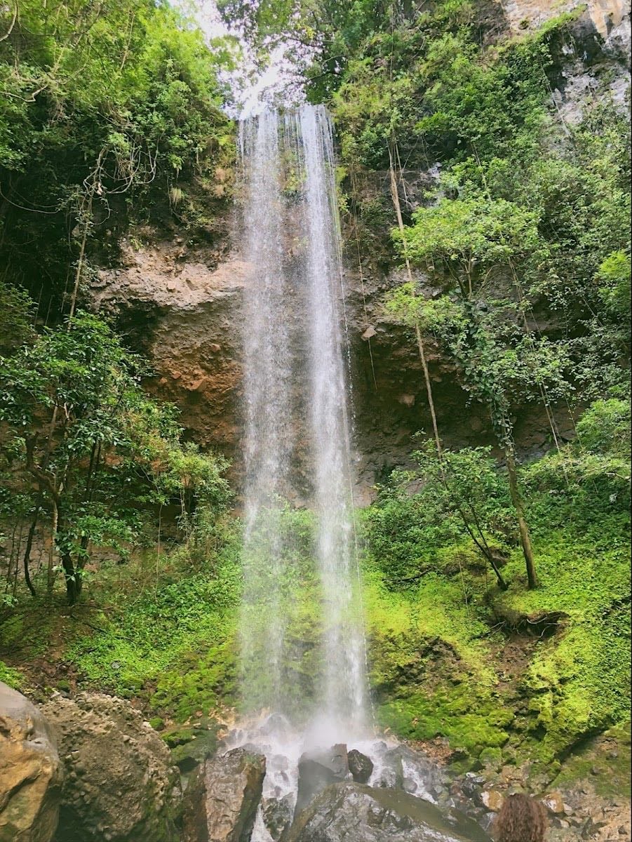 Chorro La Poma - 📍 Chorro La Poma – Caimitillo, Panamá Oeste
• Sendero: Caminata corta (~0.6 km) hasta una cascada con zona de baño.
• Horario: Sin horario oficial; ideal en la mañana.
• Costo: Estacionamiento ~$2; se debe coordinar con guía o dueño local.