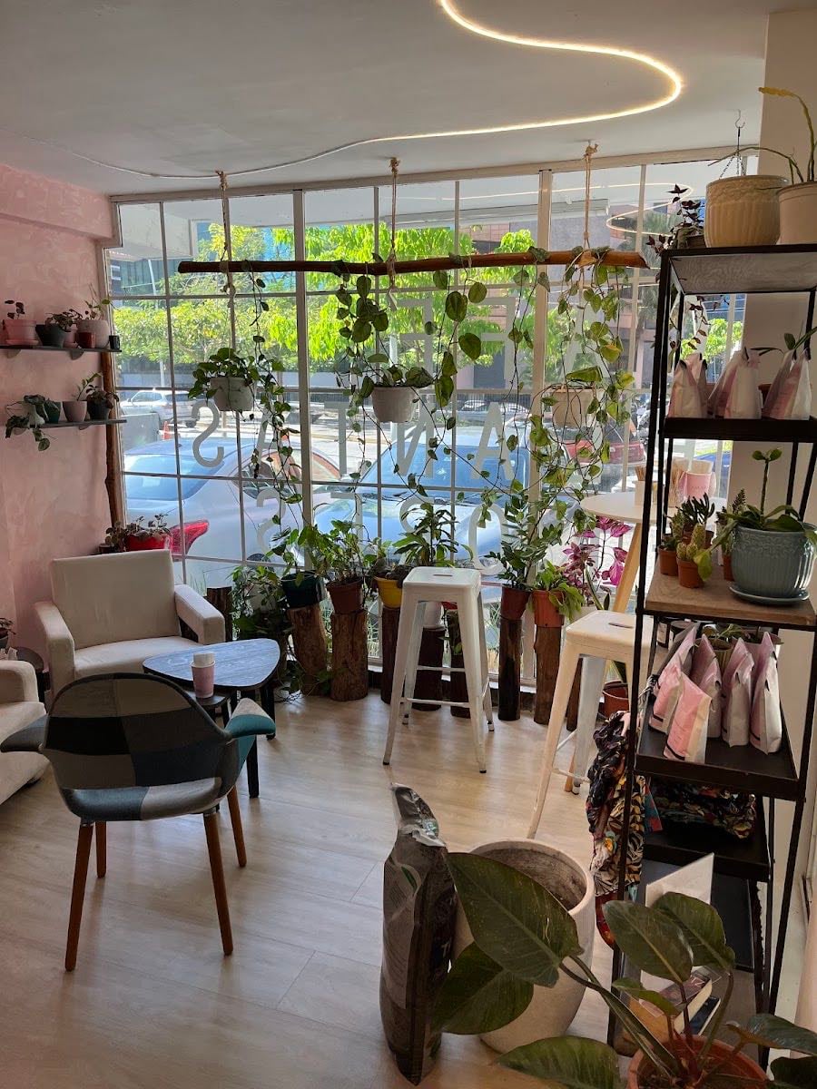 AMARA coffee & flowers