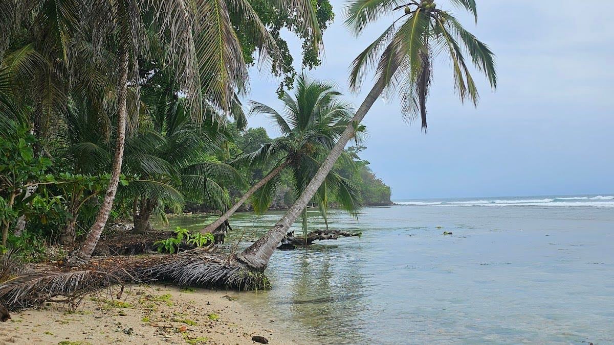 Playa Carenero - A poca distancia en bote desde Isla Colón.