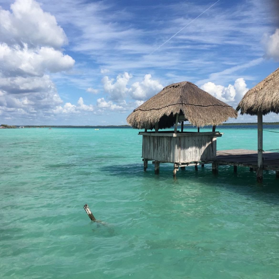 Bacalar