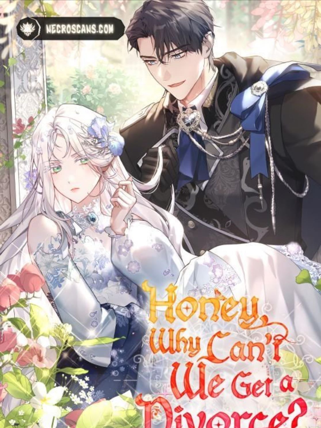 honey, why cant we get a divorce?