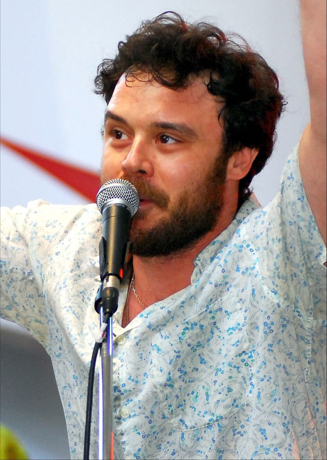 Rodrigo Amarante - Artist