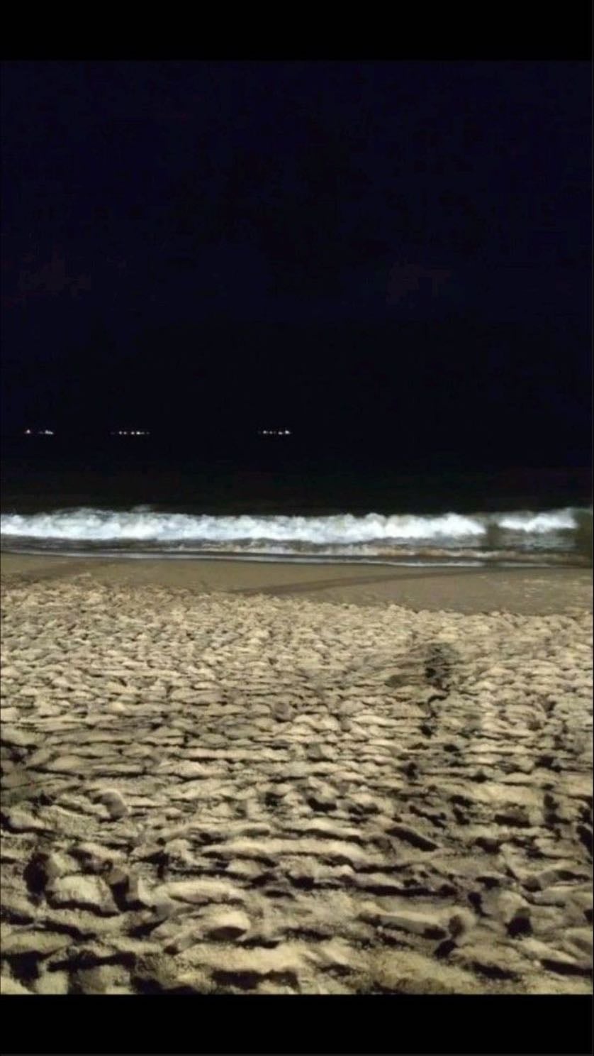 praia de noite