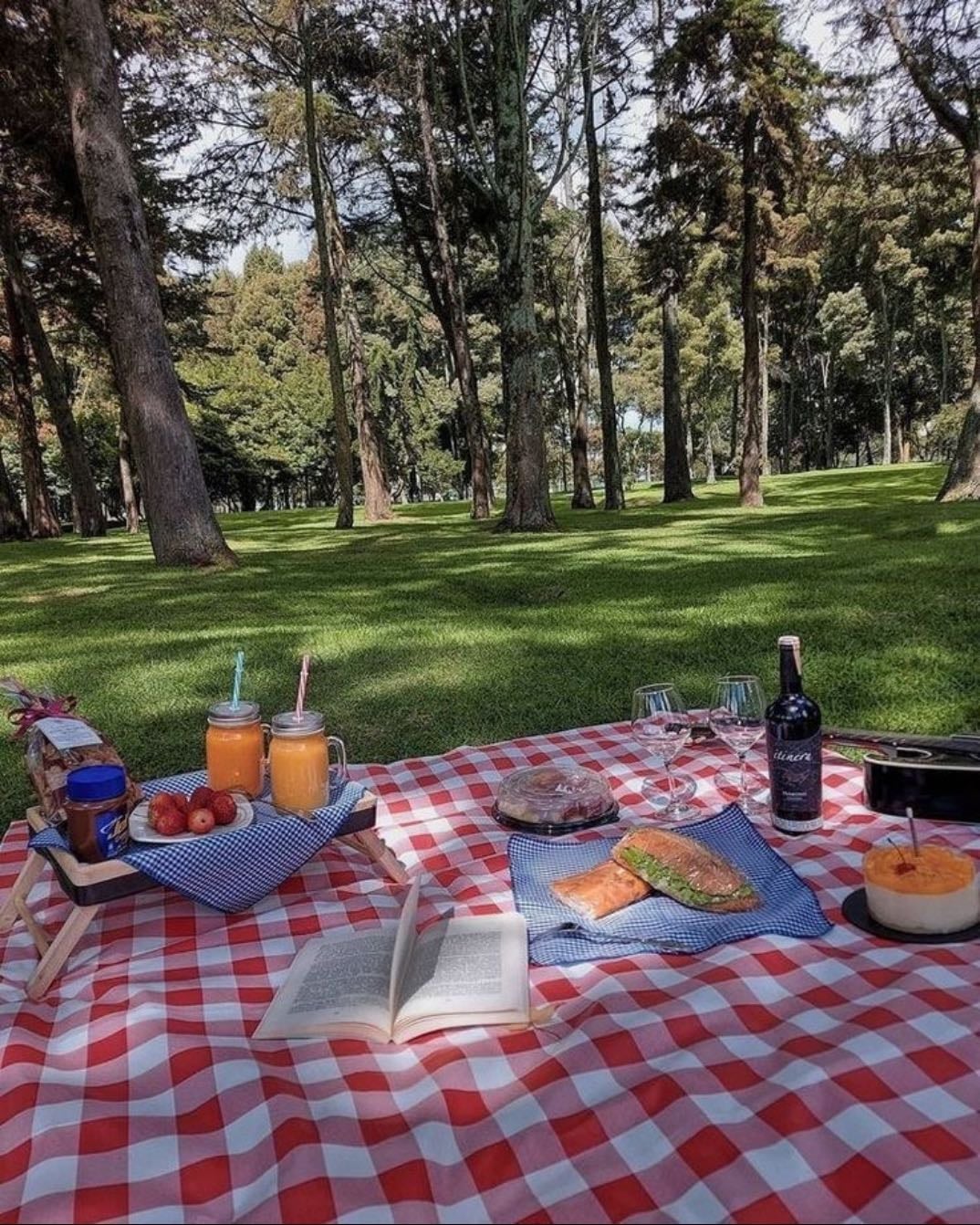 piquinique - no parque