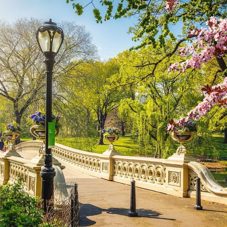 Central Park ๐๏ธ