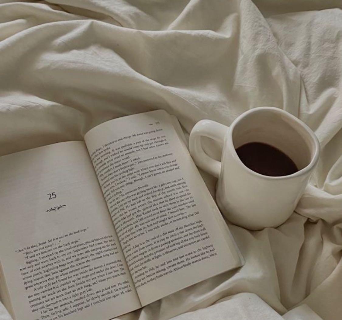 Lecture 📖 - Books hypelist by 𝘓𝘢𝘶𝘳𝘢 ☽