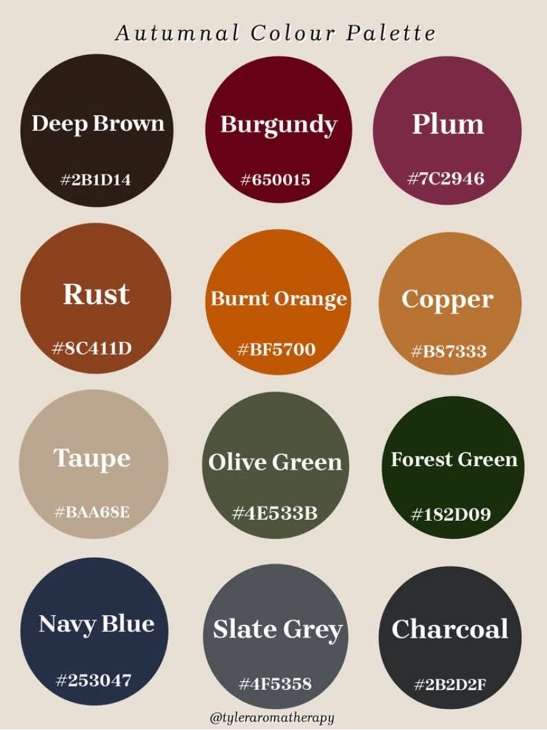colour palette