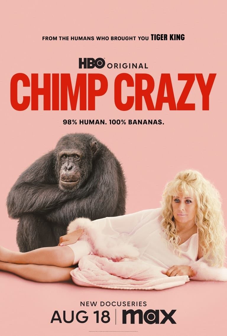 Chimp Crazy - 2024