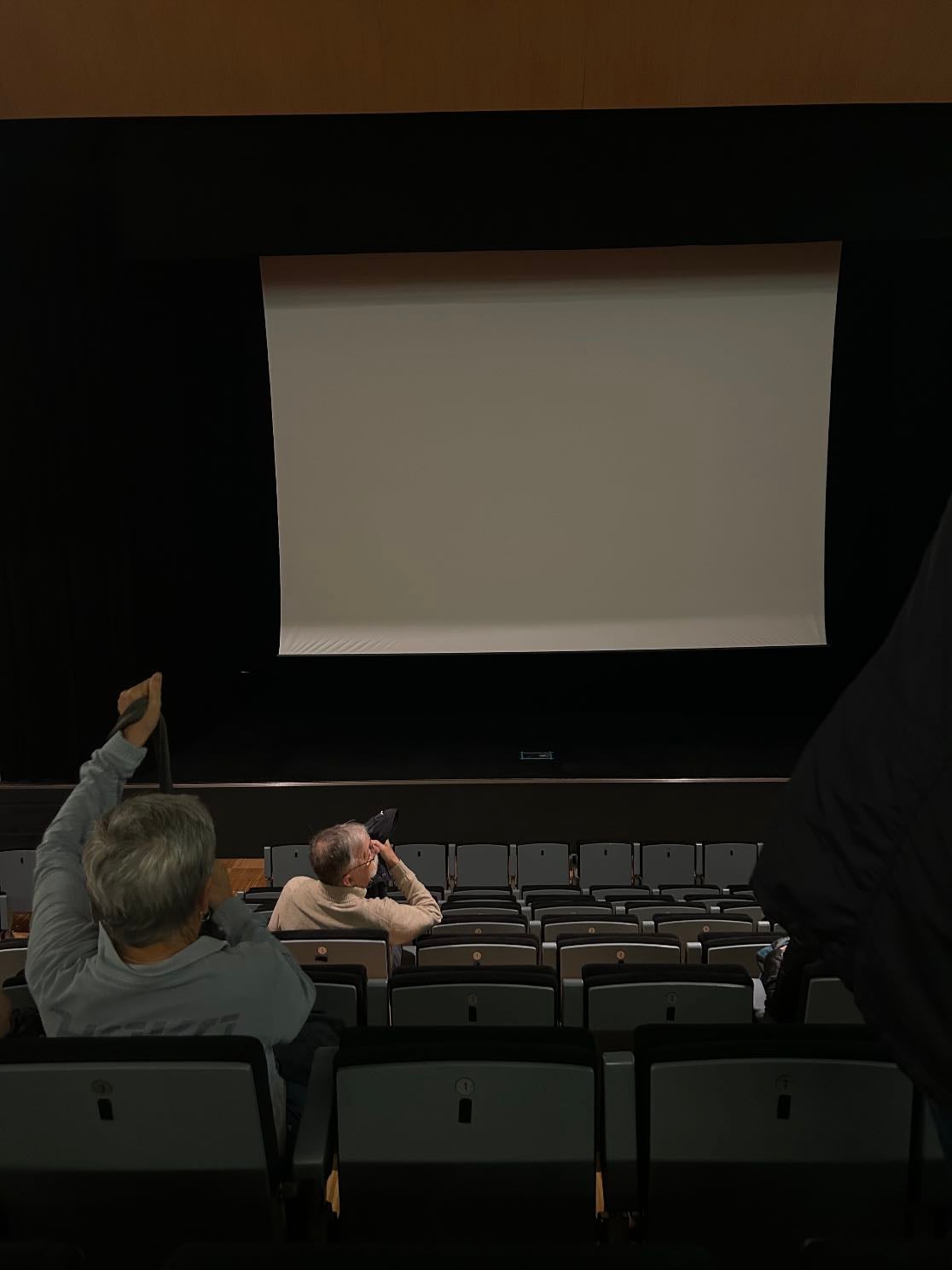 planes culturales - festivales, kontzis, conferencias, visionados…