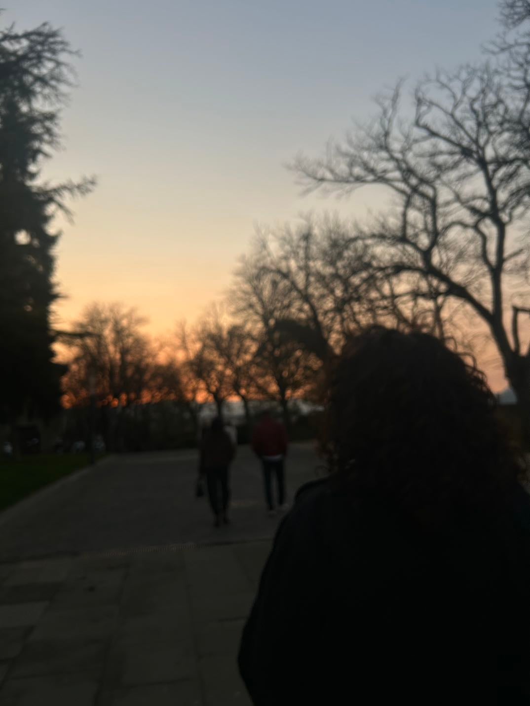 planes con fatifati - y de futuro. puuuuf