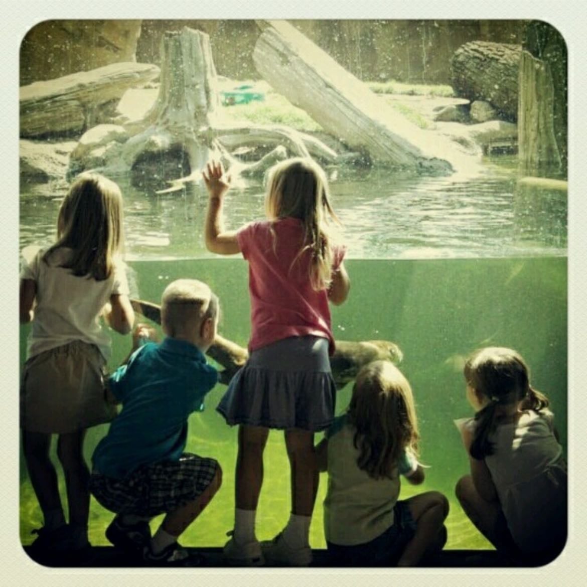 La muy catastrófica visita al zoo - Joël Dicker · 2025
