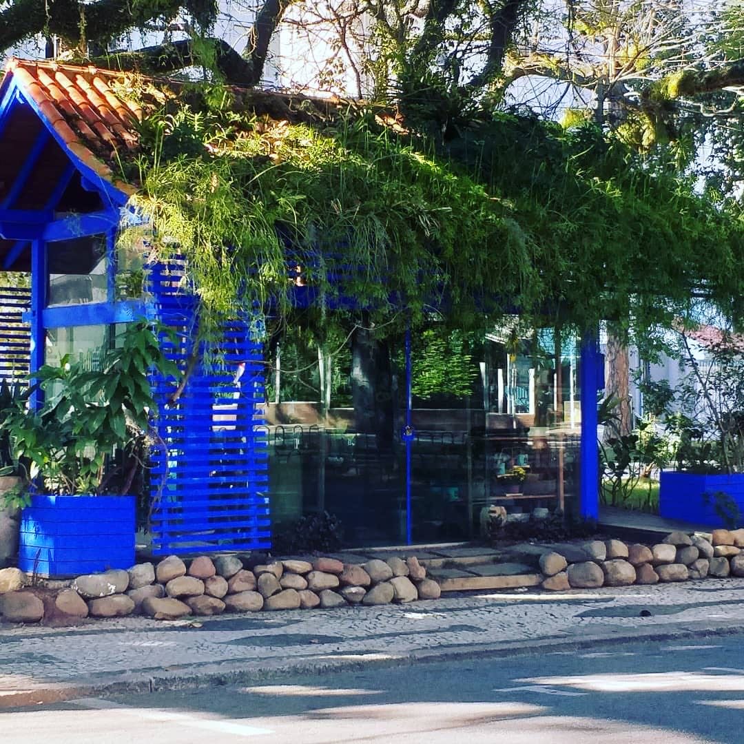 Avenida Hercílio Luz - cerveja e batata frita