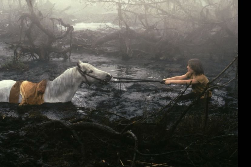 Horse. - The never ending story