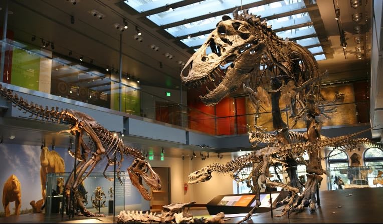 museum