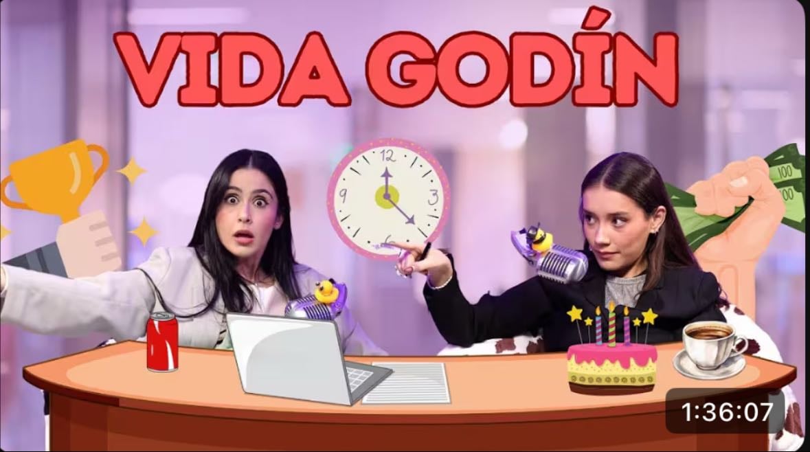 Vida godín