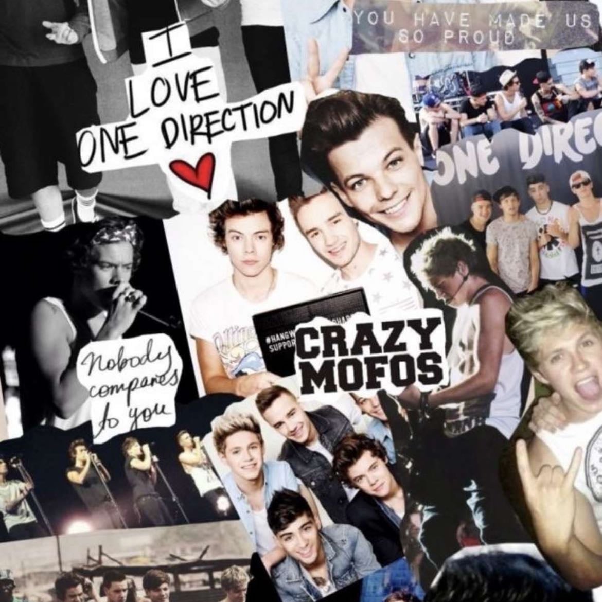 Goal - Meet a one d member