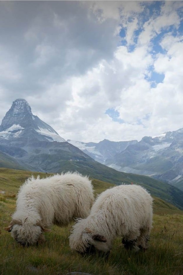Zermatt