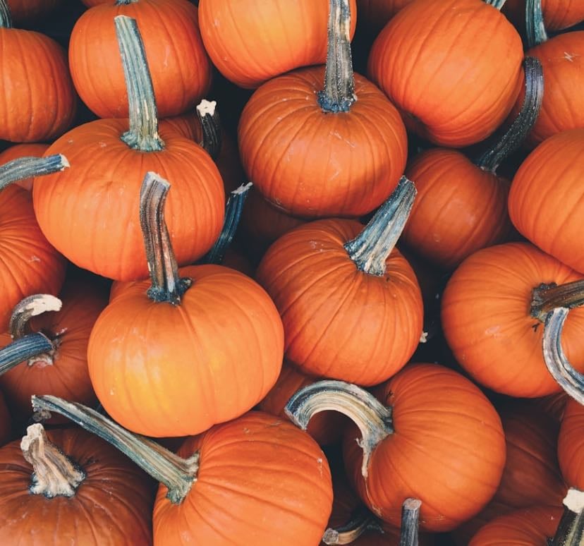 Autumn Reads - Books hypelist by Sophie Hodgson