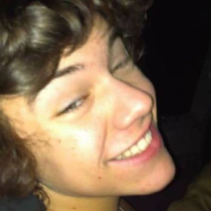 Dream - For Harry styles to come back bc Iβm going crazy