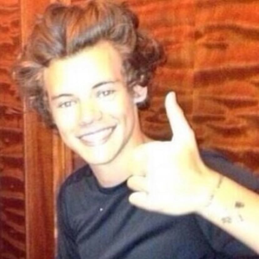 Dream - For Harry styles to come back I miss him sm