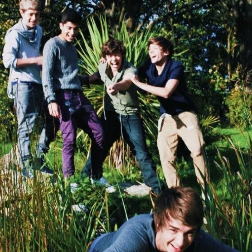 Dream - To meet any of the one direction boys