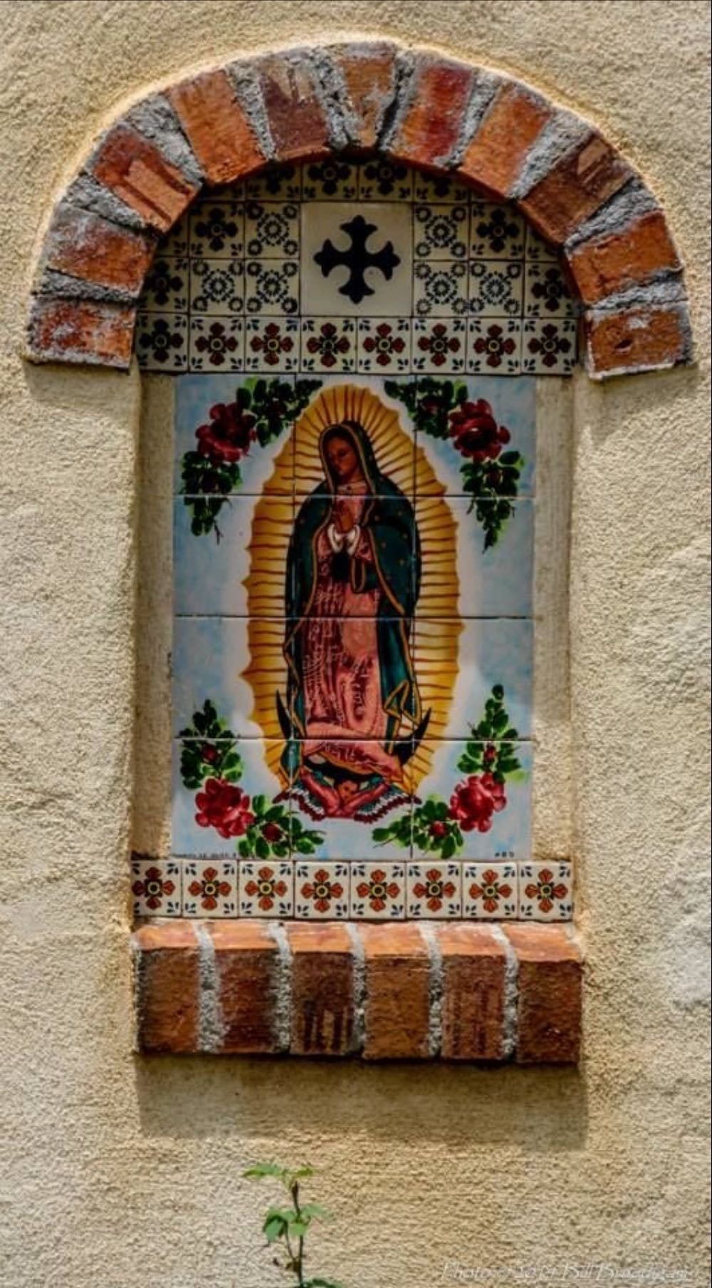 Flor de Tangerina - Song · Alceu Valença