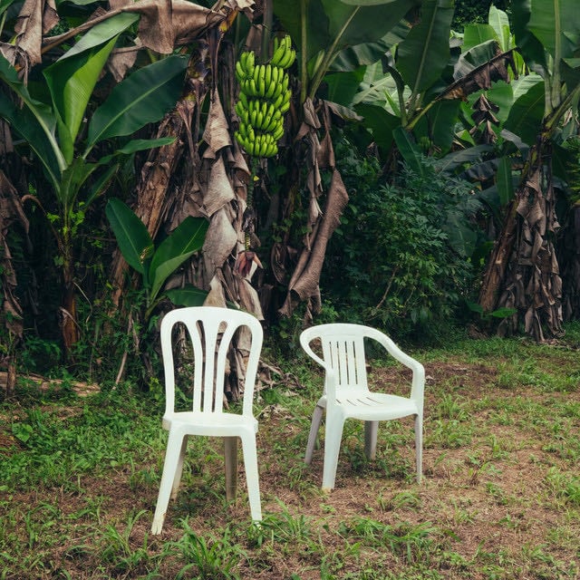 DeBÍ TiRAR MáS FOToS - Album · Bad Bunny