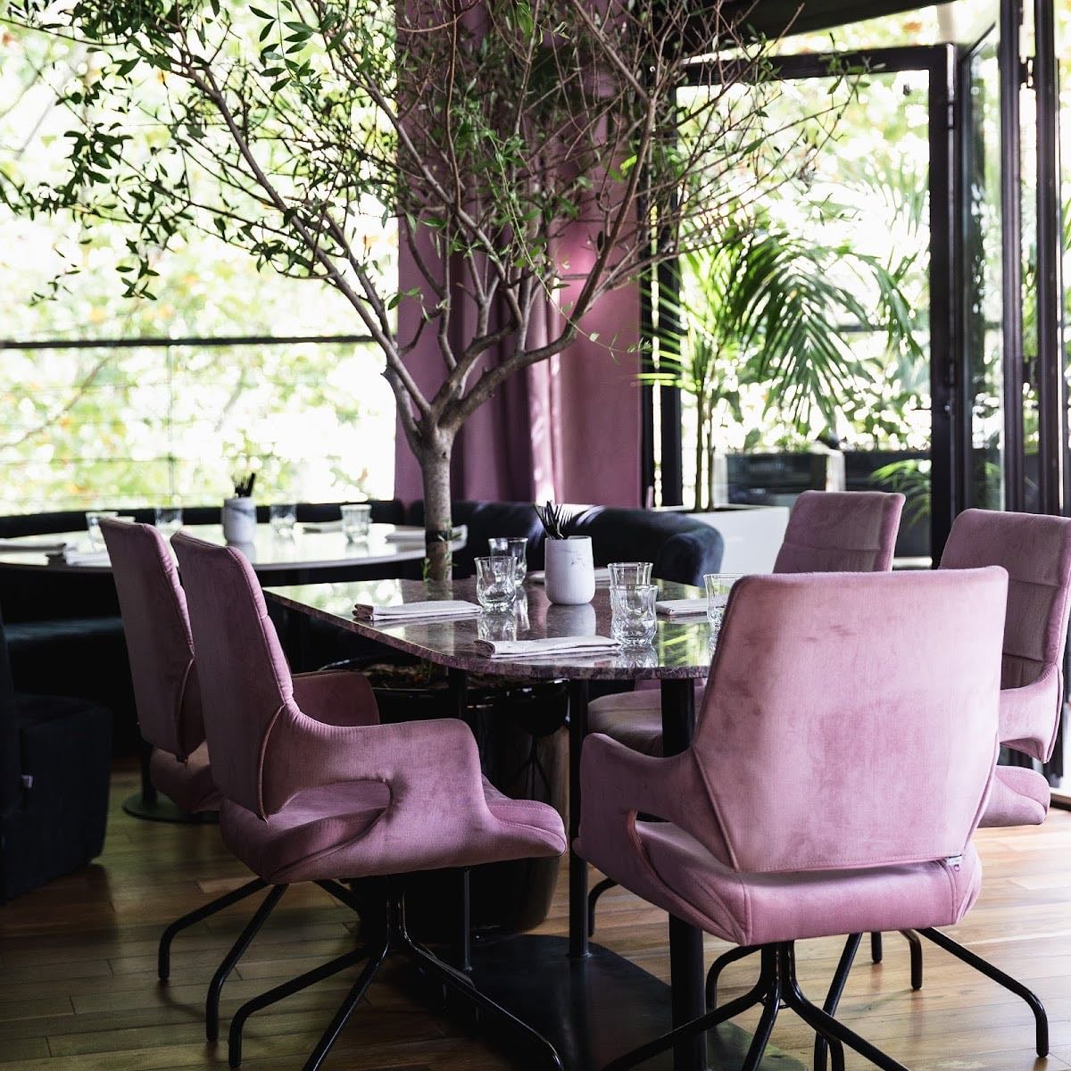 MUDRÁ Plant-Based by Matthew Kenney