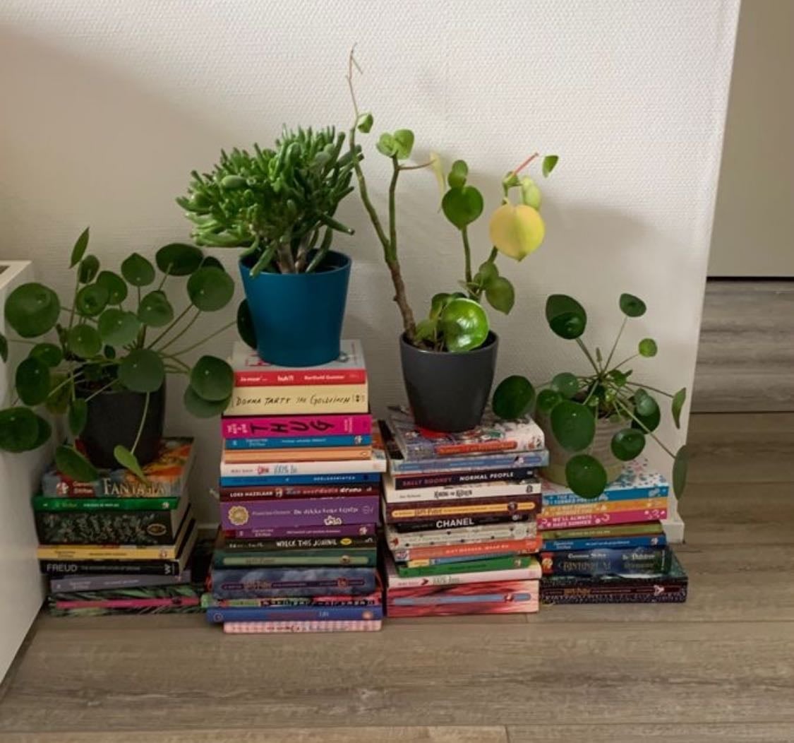 livros