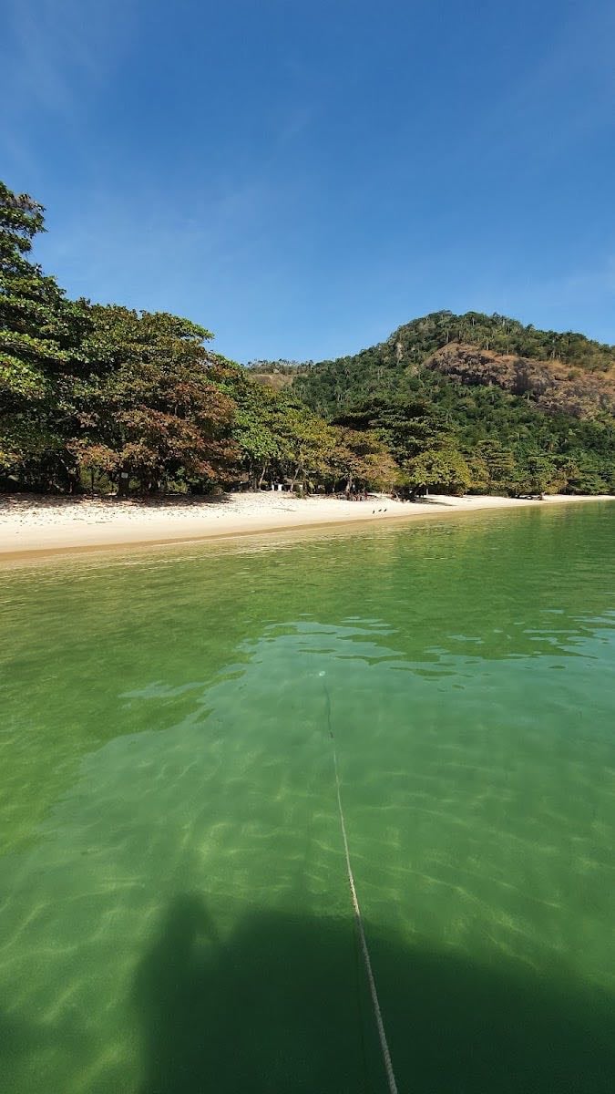 Ilha Guaíba