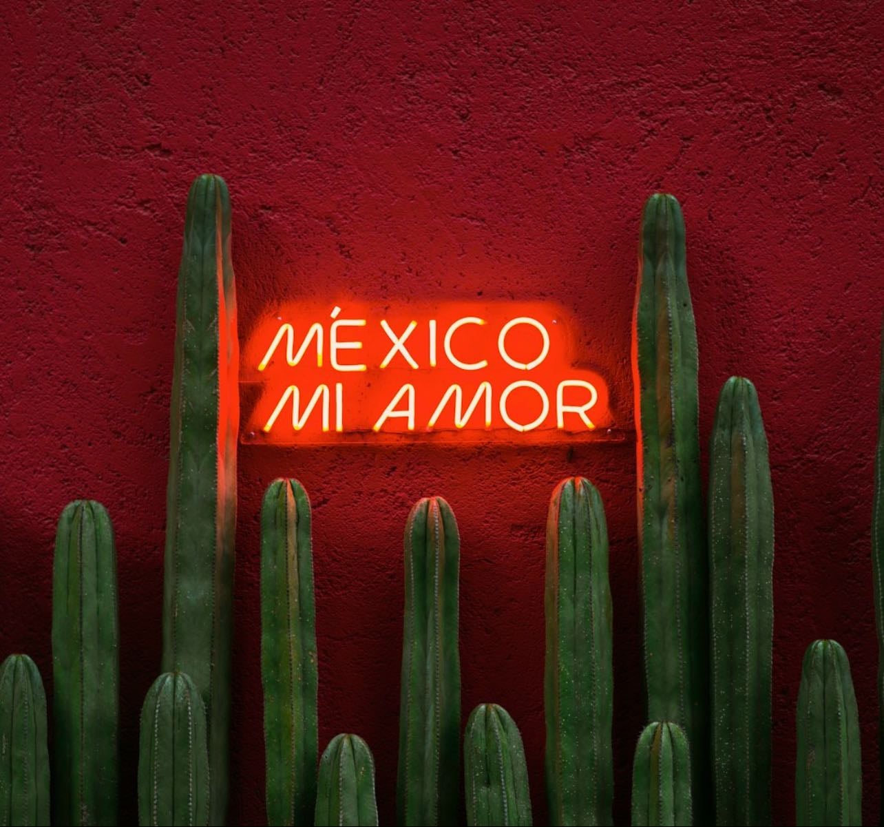 mexican places to visit 🇲🇽
