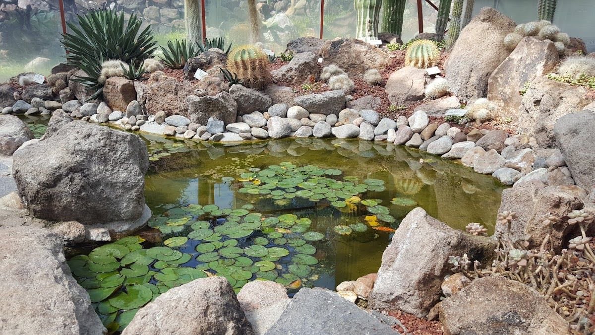 Charco del Ingenio