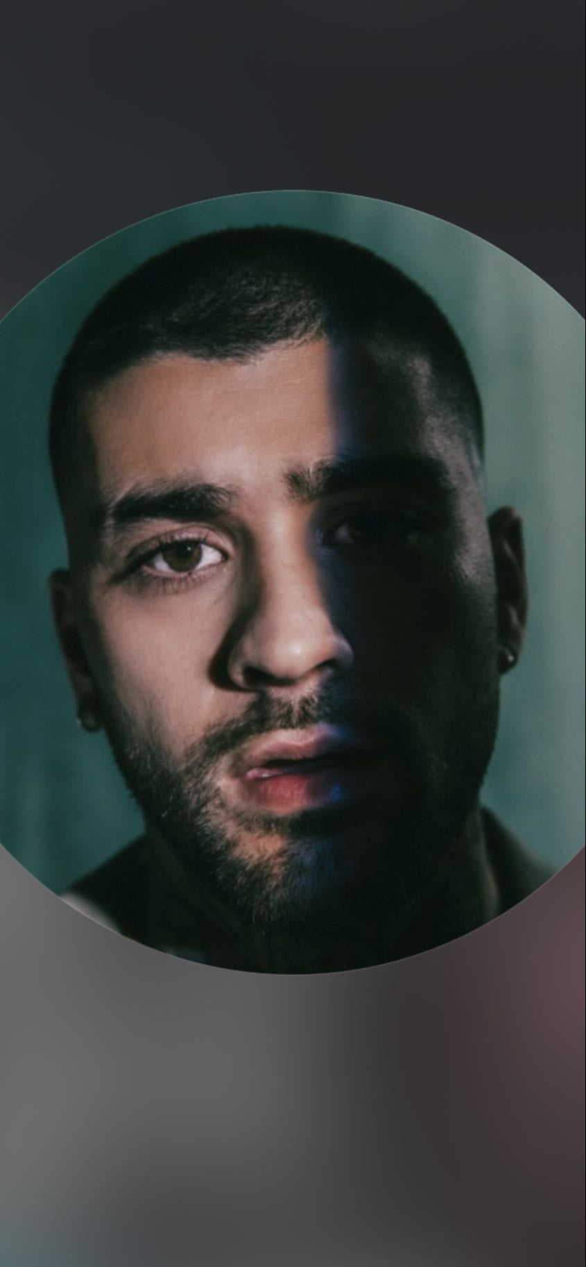 zayn - hello aura farmer ๐คค
