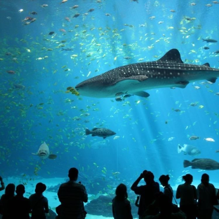 aquarium de barcelona
