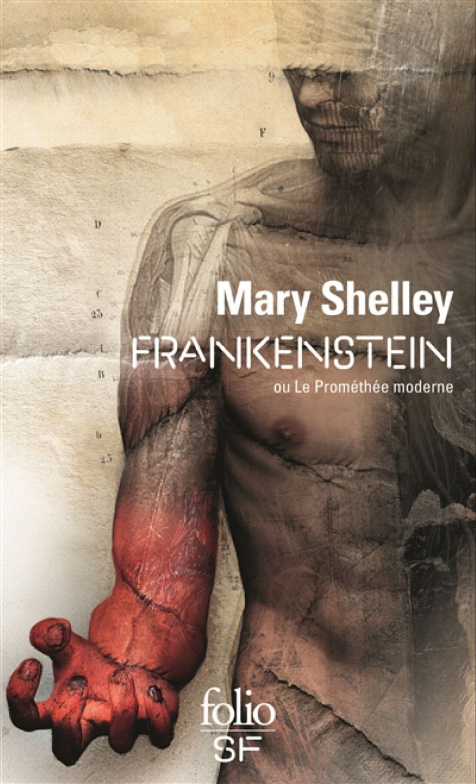 Frankenstein - Mary Shelley ·