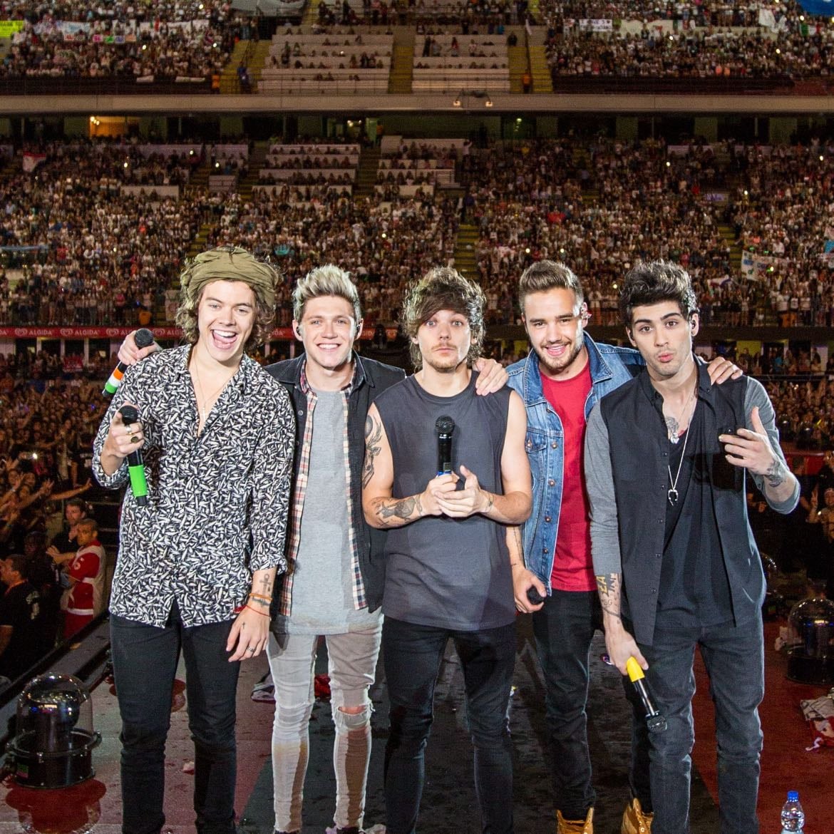 Go to a One Direction concert - Reunion??