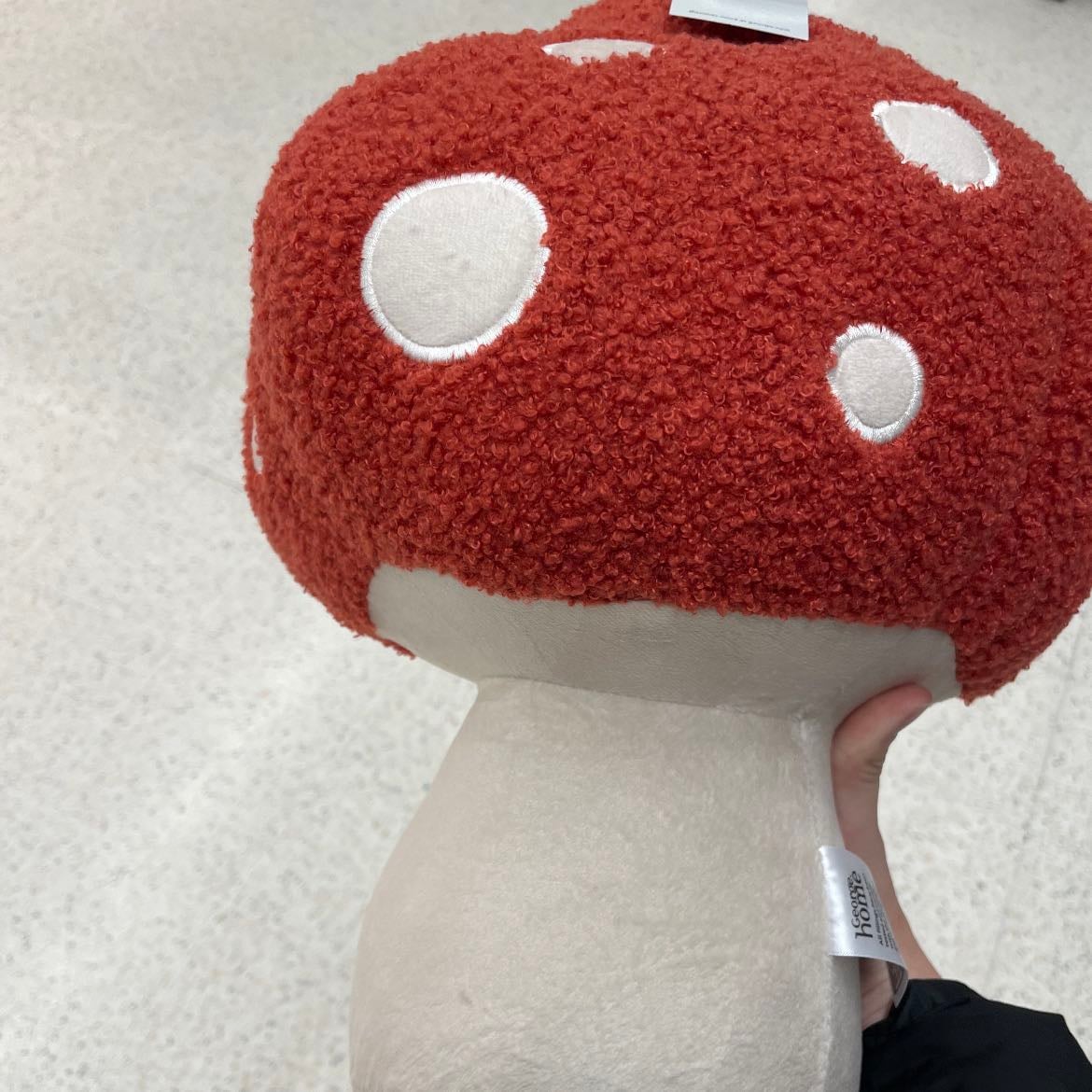 This mushroom - I found it in asda yesterday 😍