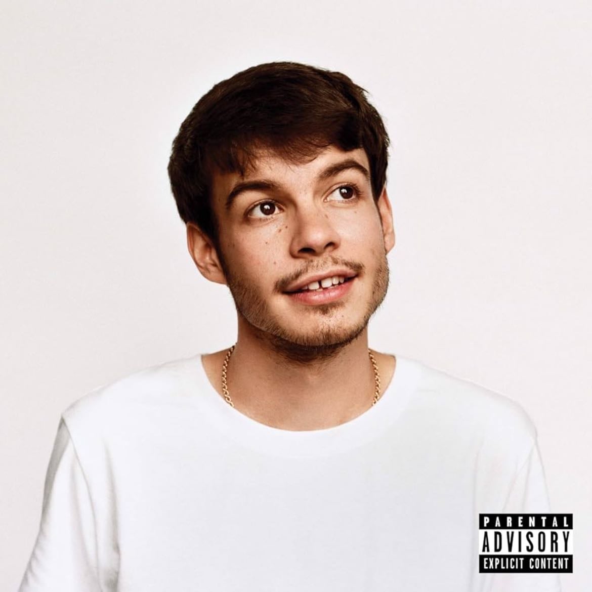 Rex Orange County - Artist