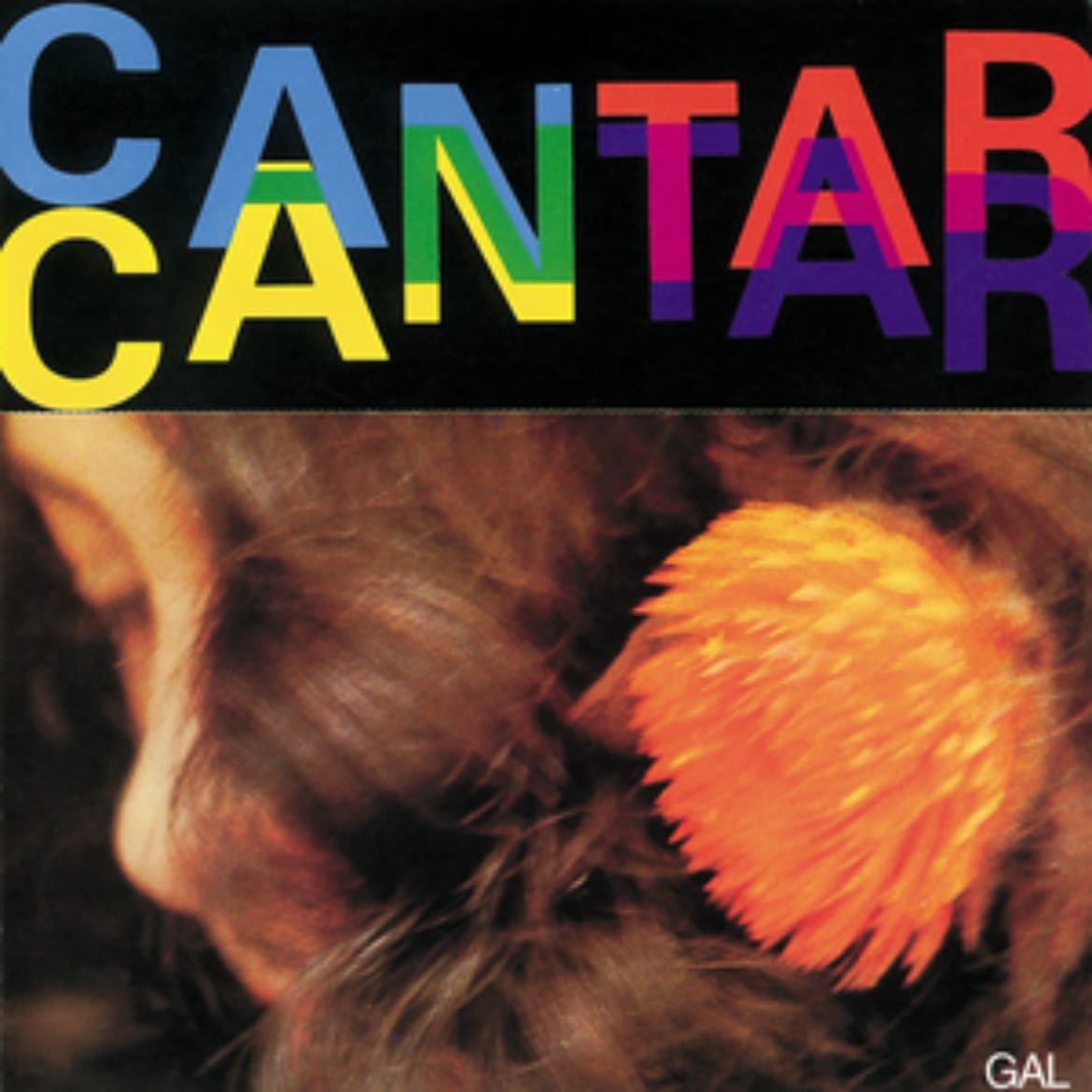 Gal Costa - Artist