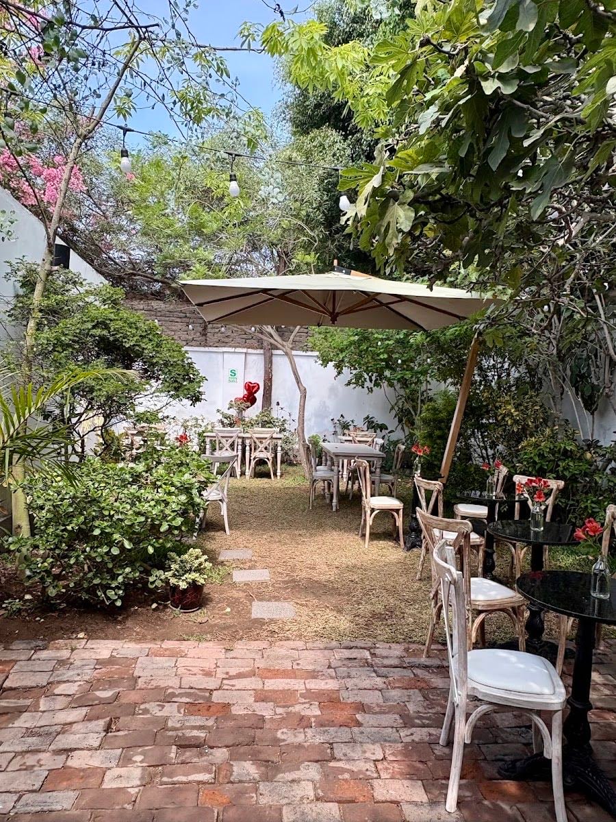 Café Luna Nueva