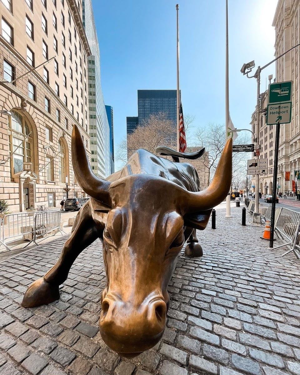 Charging Bull
