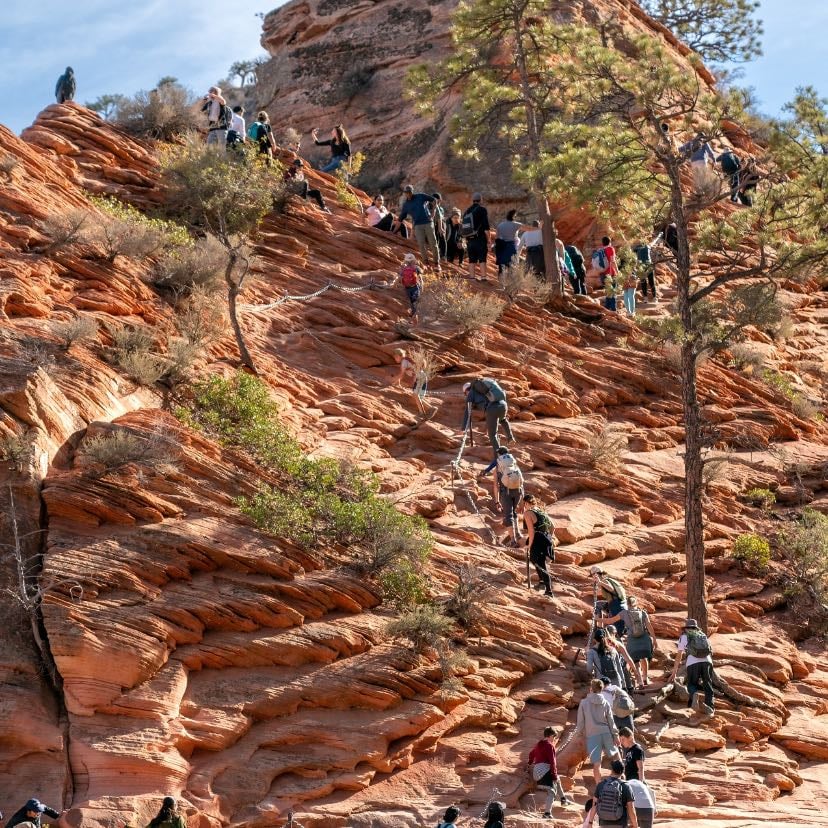 Angels Landing Trail
