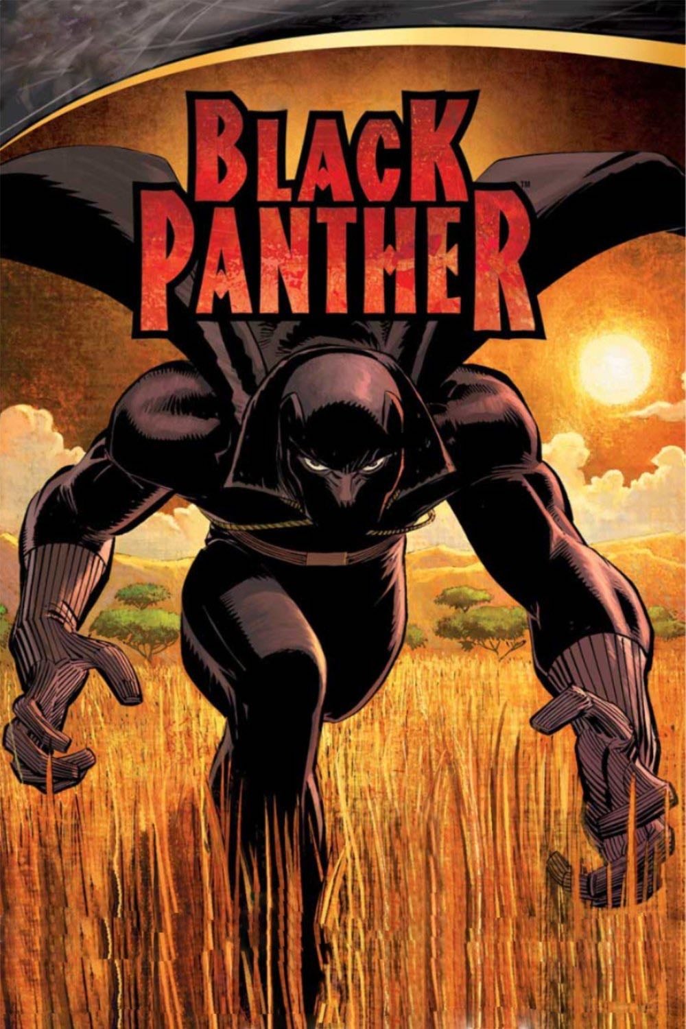Black Panther - Reginald Hudlin · 2010