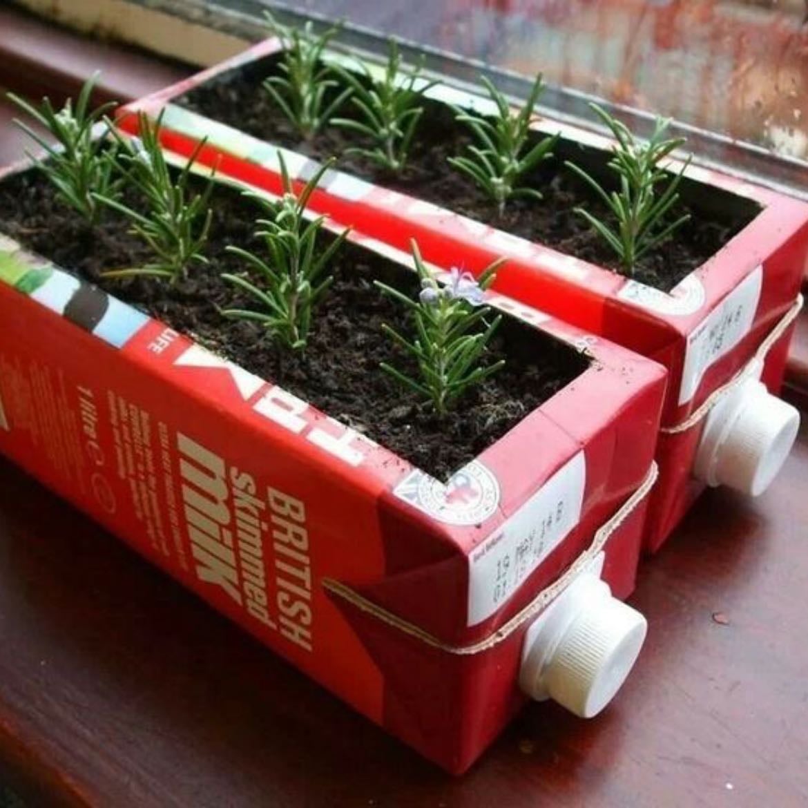 Un huerto reutilizando envases