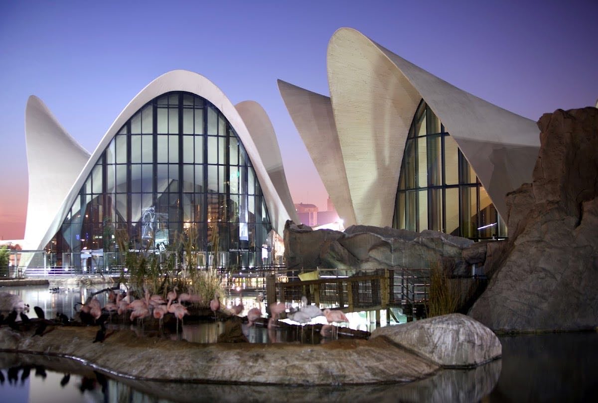 Barcel贸 Valencia