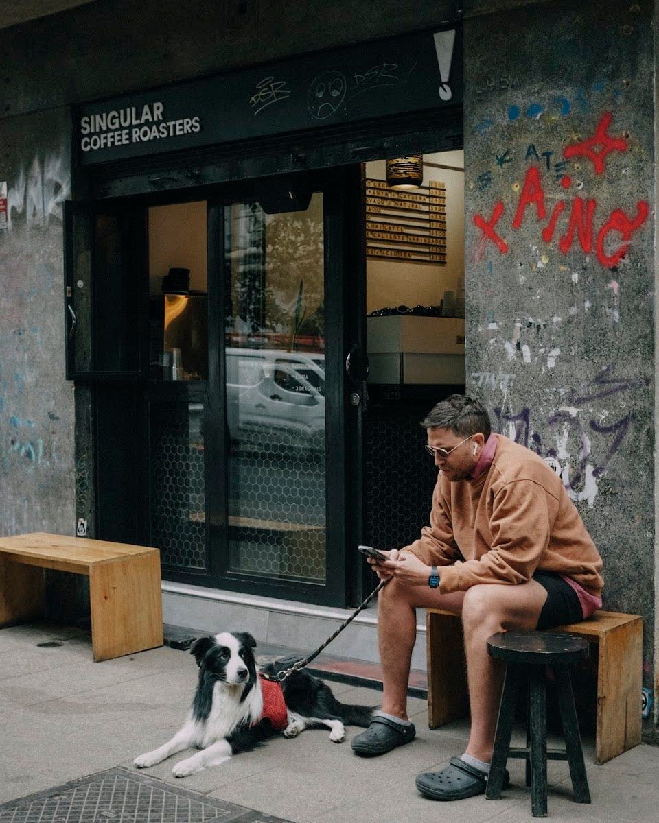 Singular Coffee Roasters Lastarria