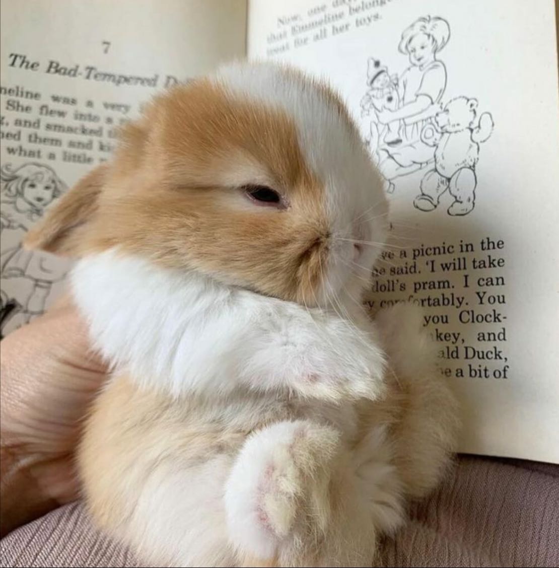 Mayis’ Cloud 𝜗𝜚˚⟡˖ - other hypelist by Mayis