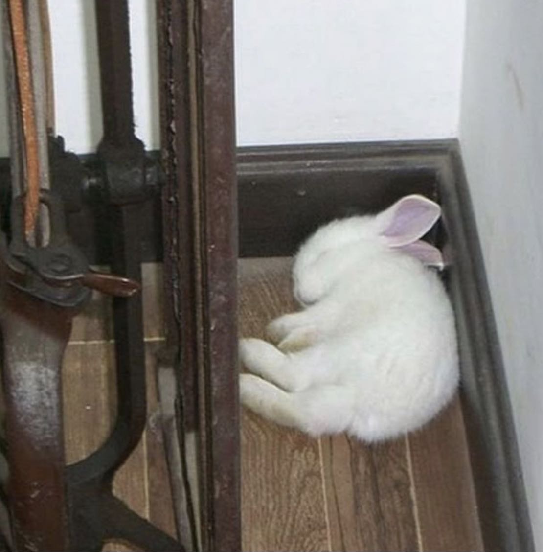 don’t keep it low - Movies hypelist by Mayis