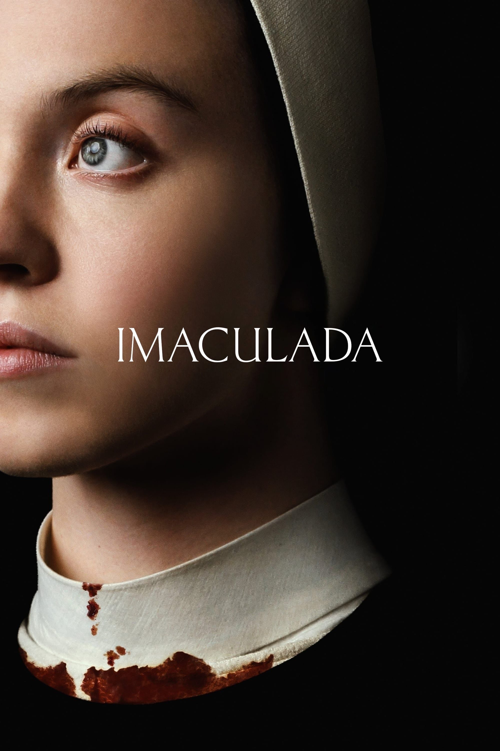 Imaculada - Michael Mohan · 2024