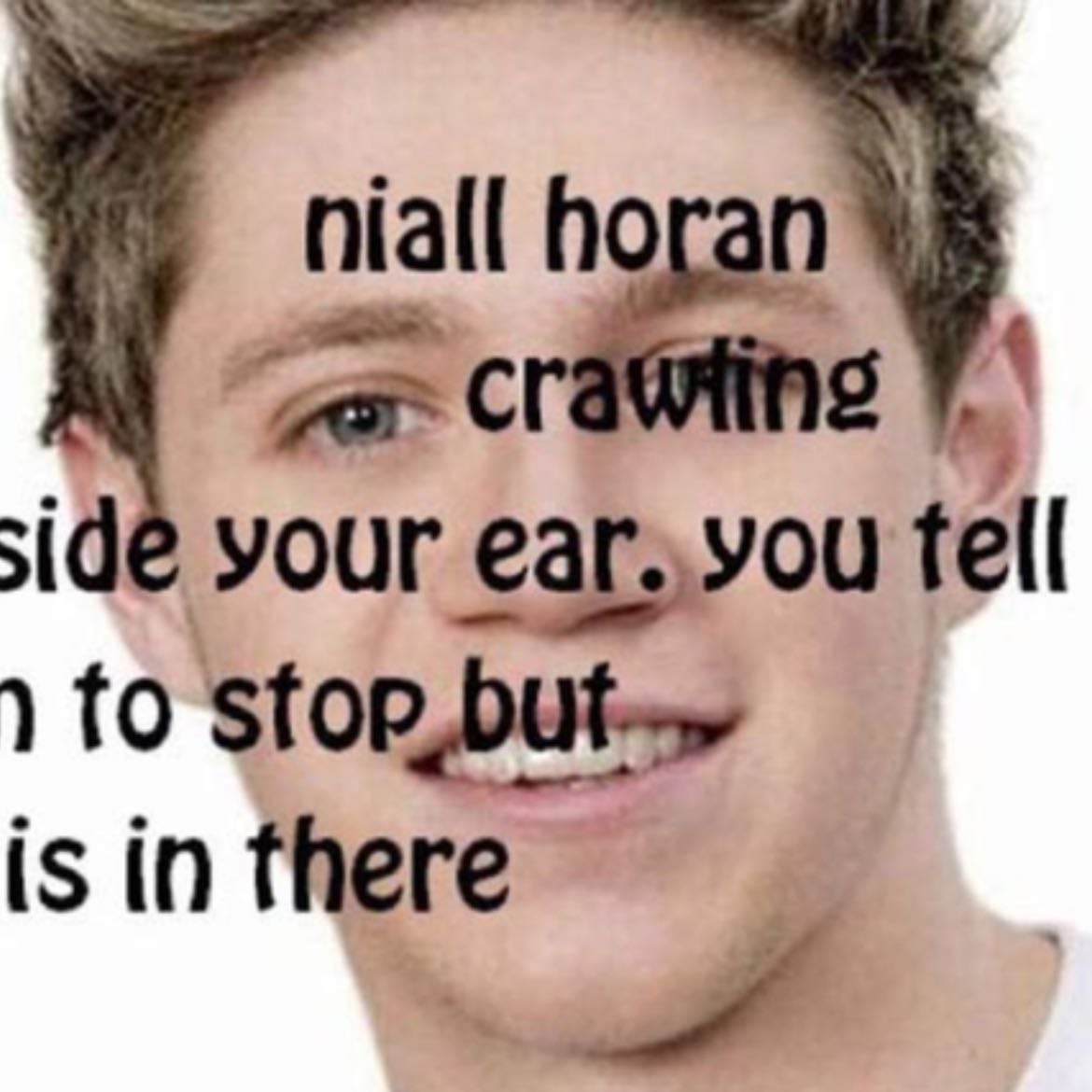 NIALLER!!! - obv my fav meme lol ๐ญ